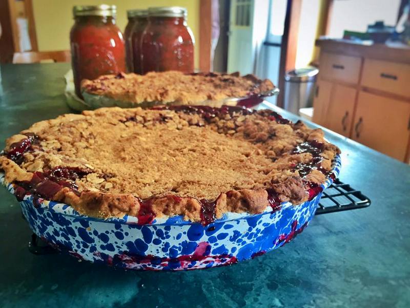 Blackberry Elderberry Pies