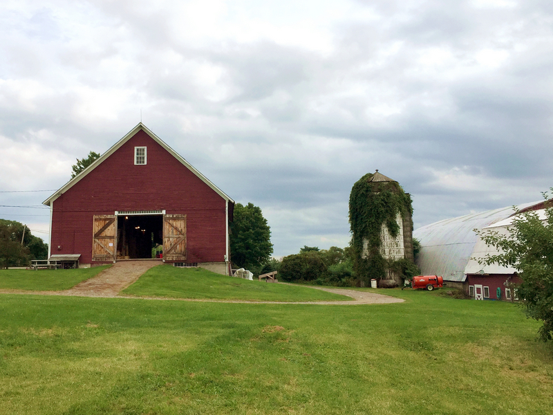 Chamberlin Orchards