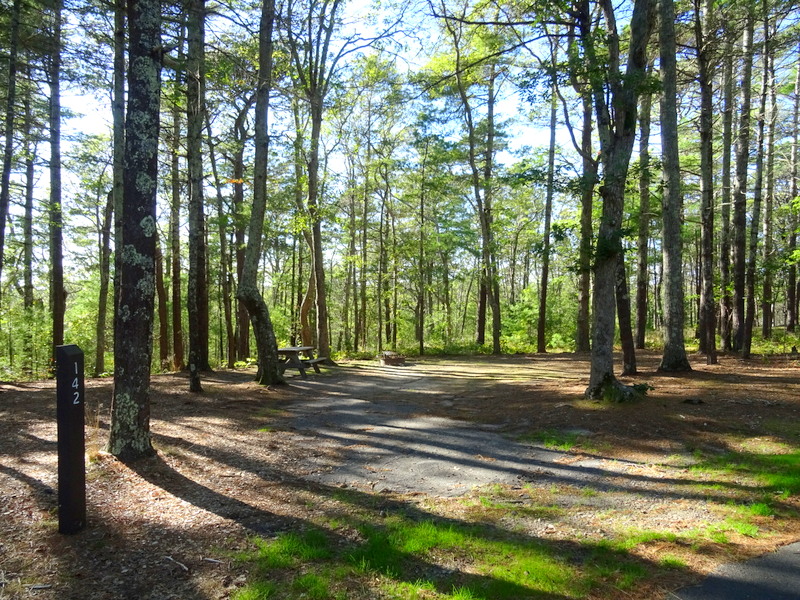 Nickerson State Park