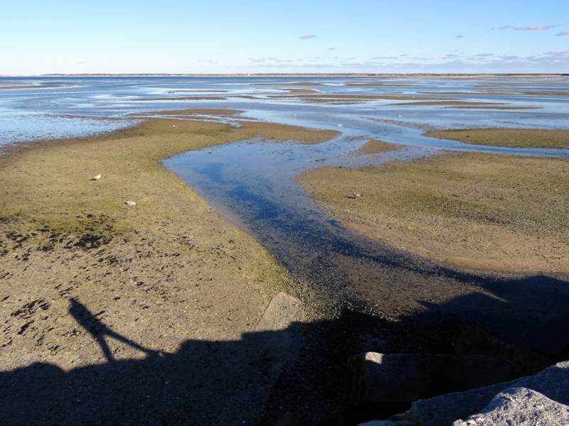 Provincetown Breakwater