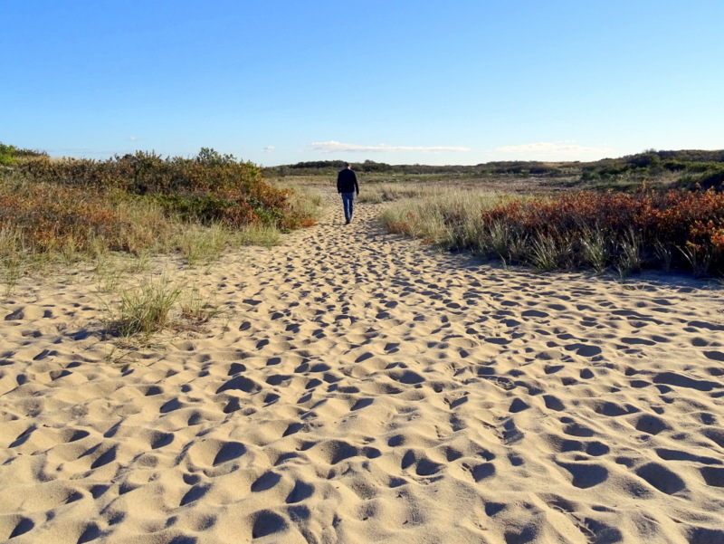 Long Point, Cape Cod