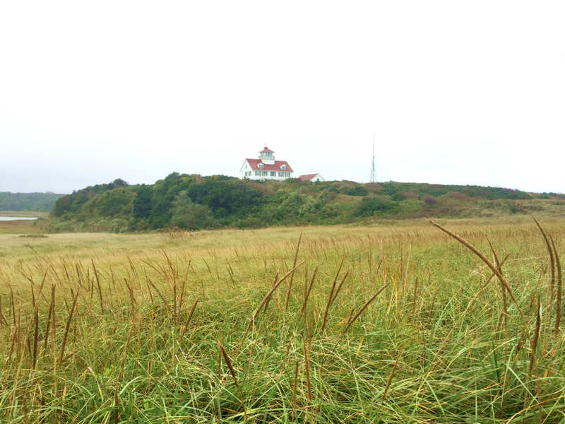 Coast Guard Beach