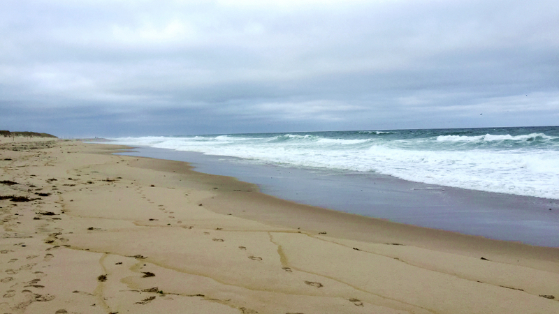 Coast Guard Beach