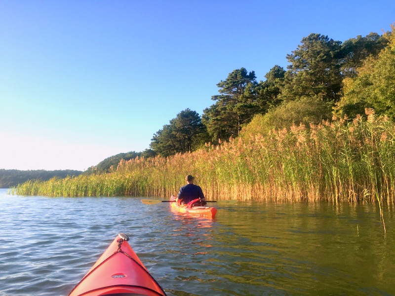 Cliff Pond at Nickerson State Park