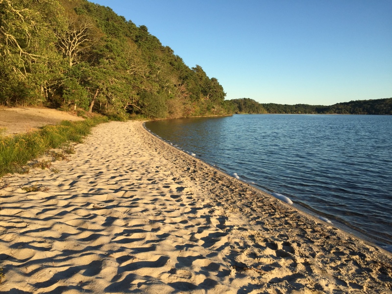 Nickerson State Park