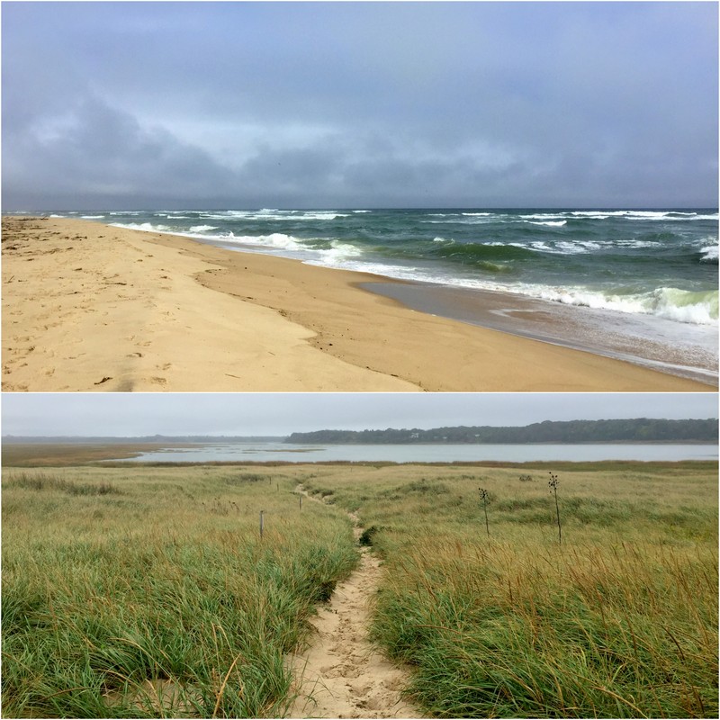 Coast Guard Beach