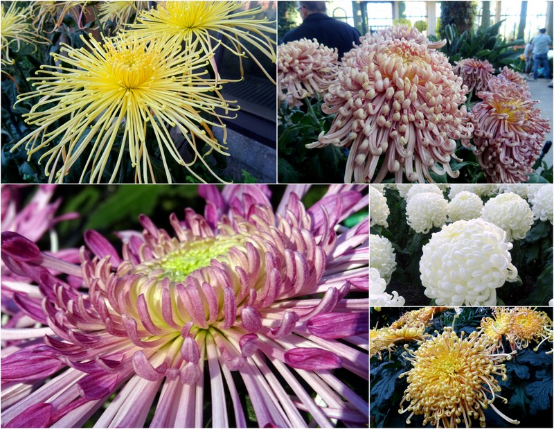 Longwood Gardens