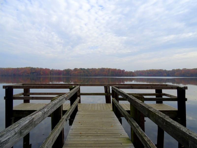 Lums Pond State Park