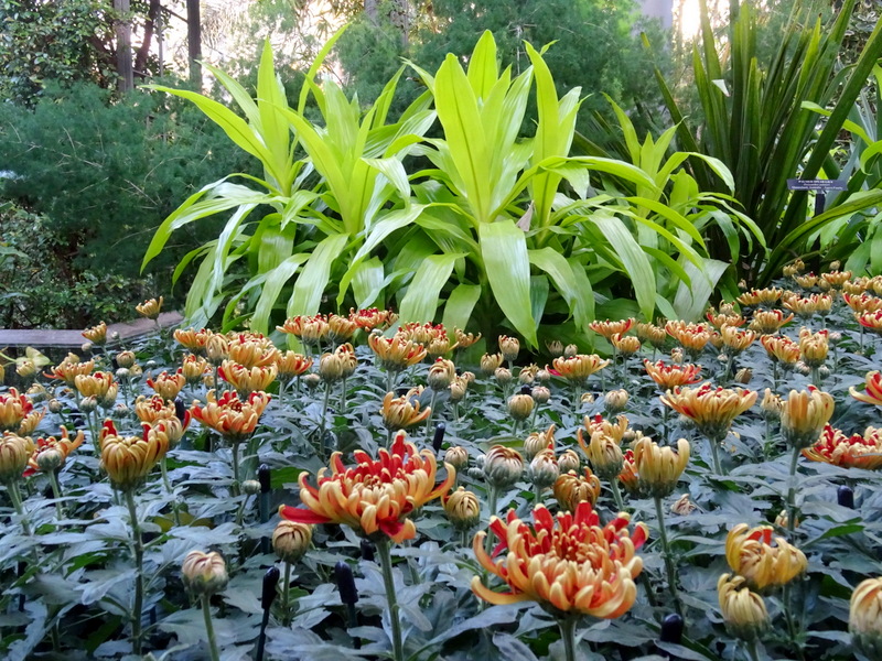 Longwood Gardens