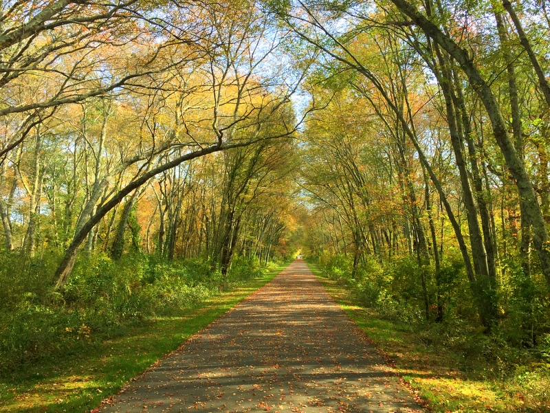 South Country Bike Path