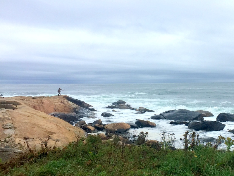 Scarborough State Beach