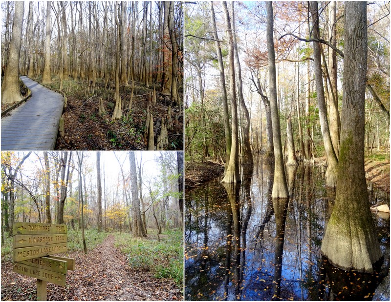 Congaree National Park