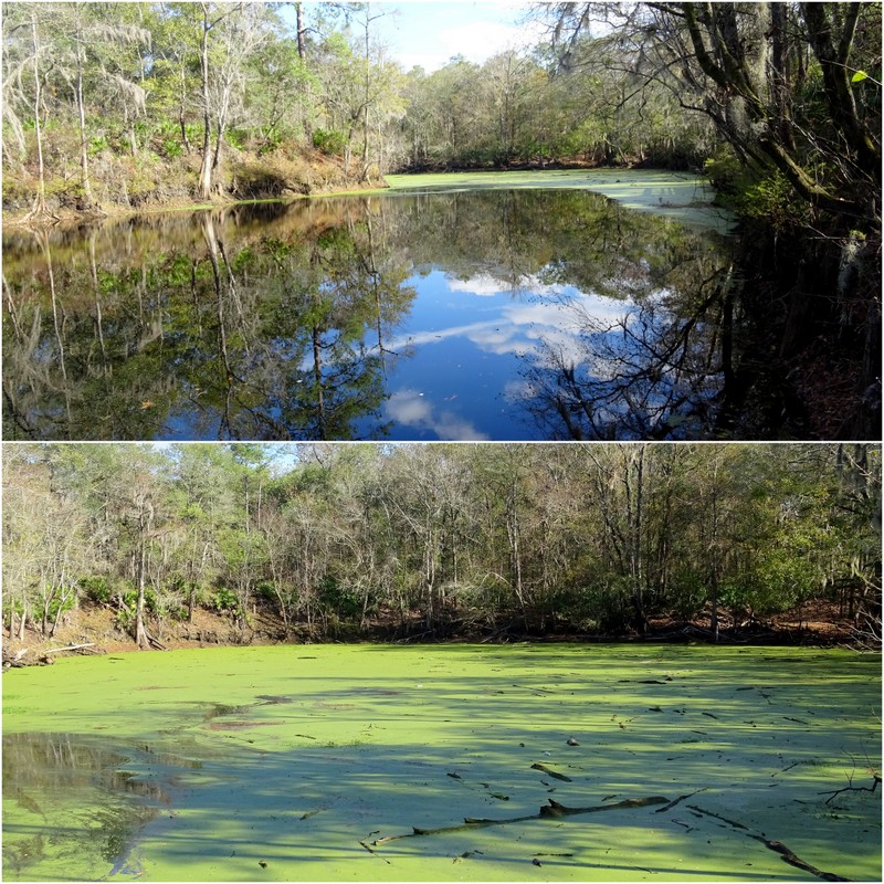 O'Leno State Park