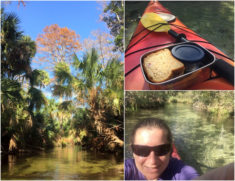 Juniper Springs River Run