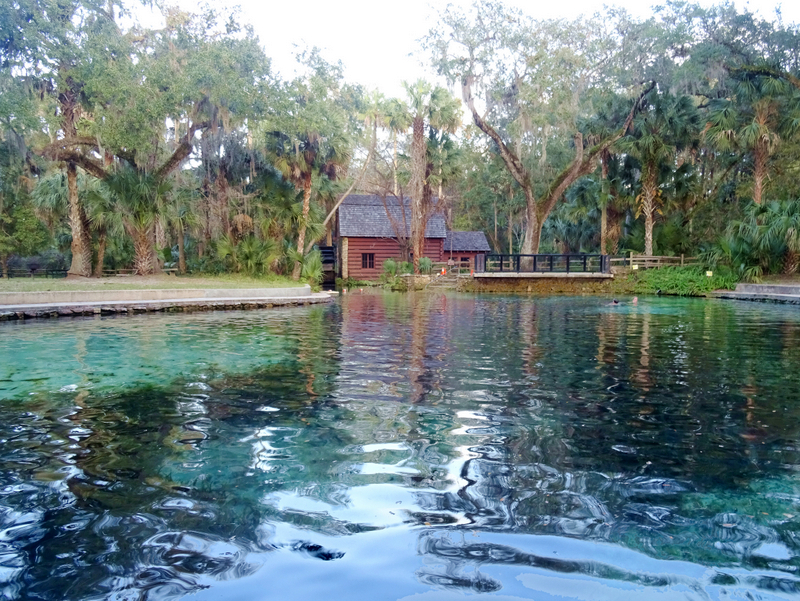 Juniper Springs, FL