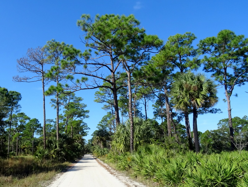 Dupuis Campground