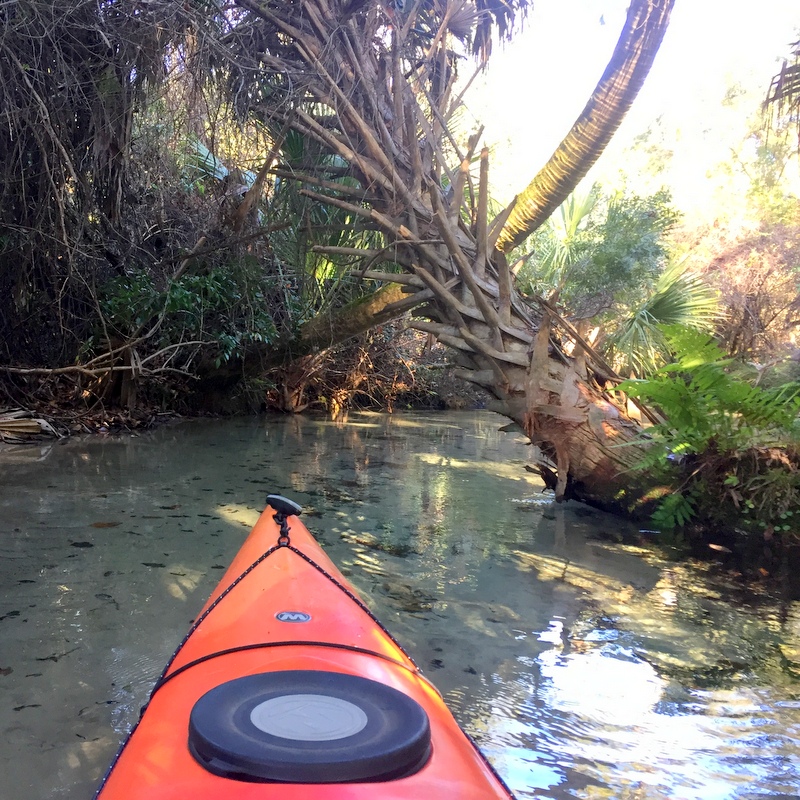 Juniper River Run