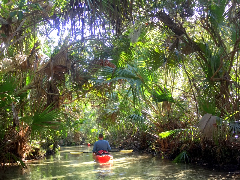 Juniper Springs, FL