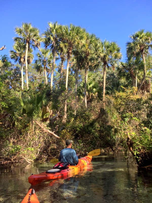 Juniper Springs River Run