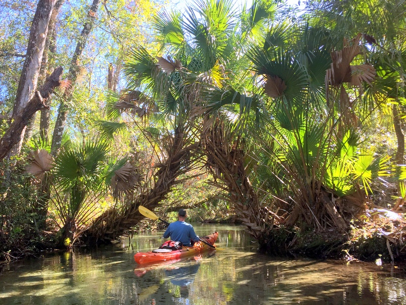 Juniper Springs River Run