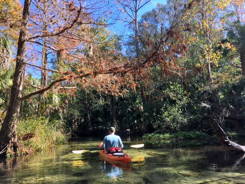 Juniper Springs River Run