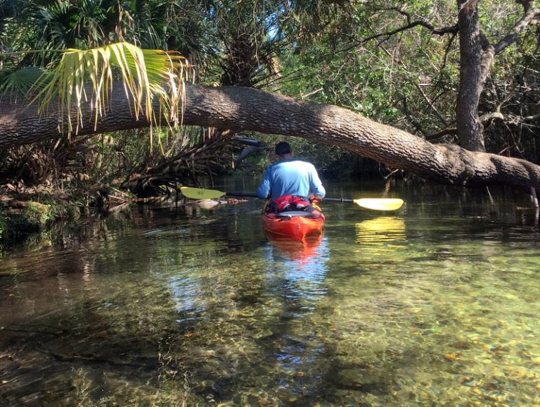 Paddling the Juniper Springs River Run WatsonsWander