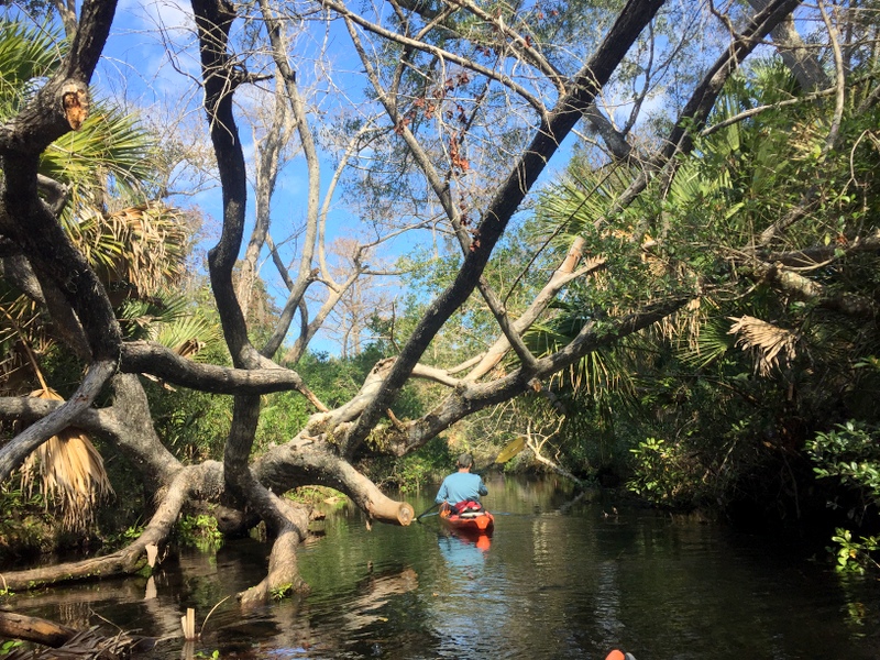 Juniper Springs River Run