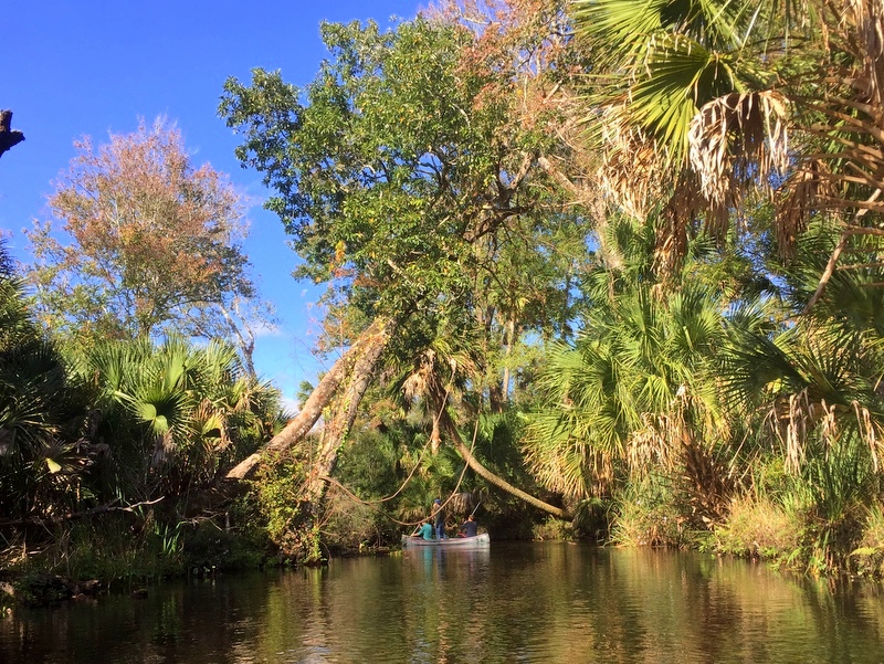 Juniper Springs River Run