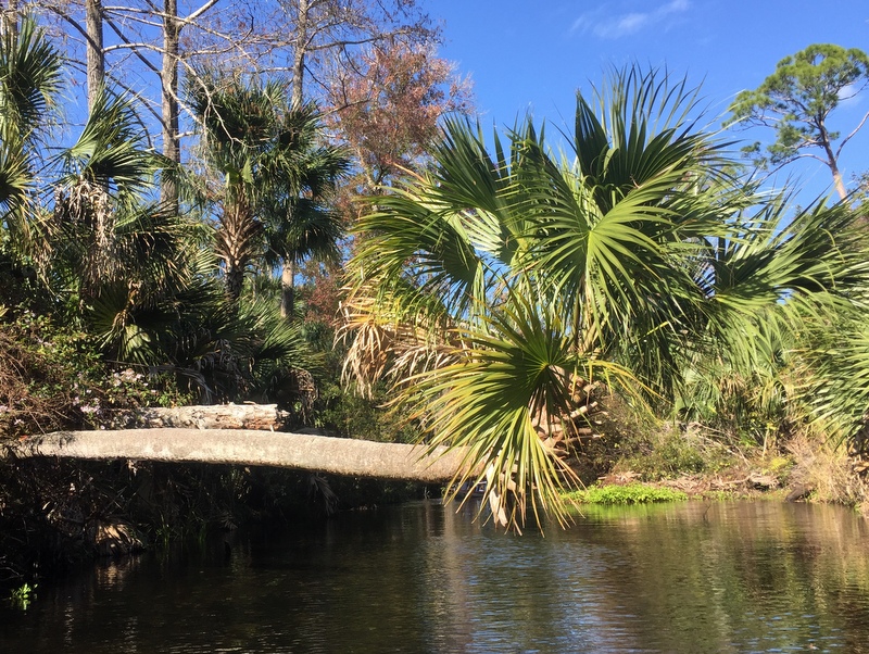 Juniper River Run