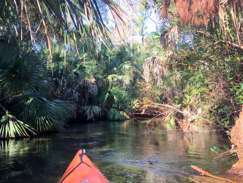 Juniper Springs River Run