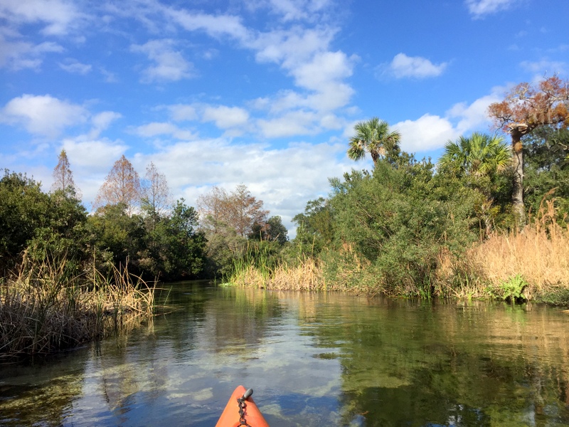 Juniper Springs River Run