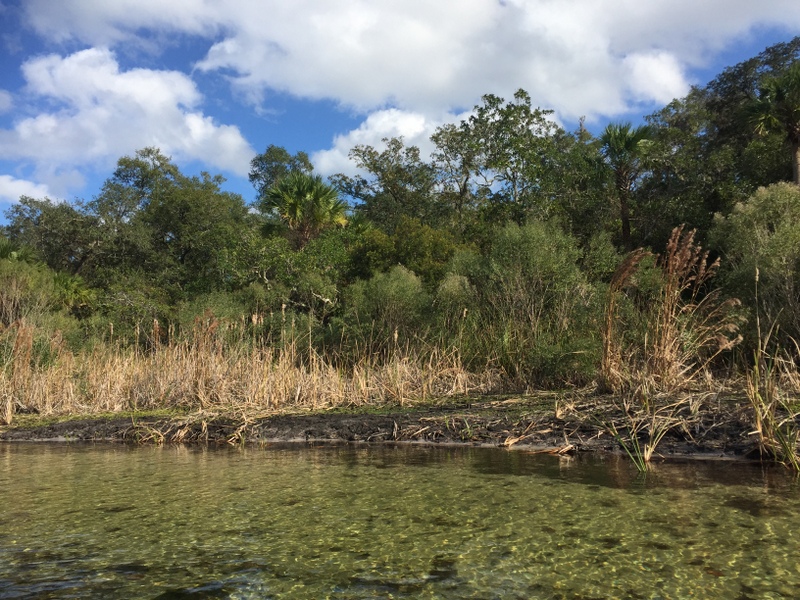 Juniper Springs River Run