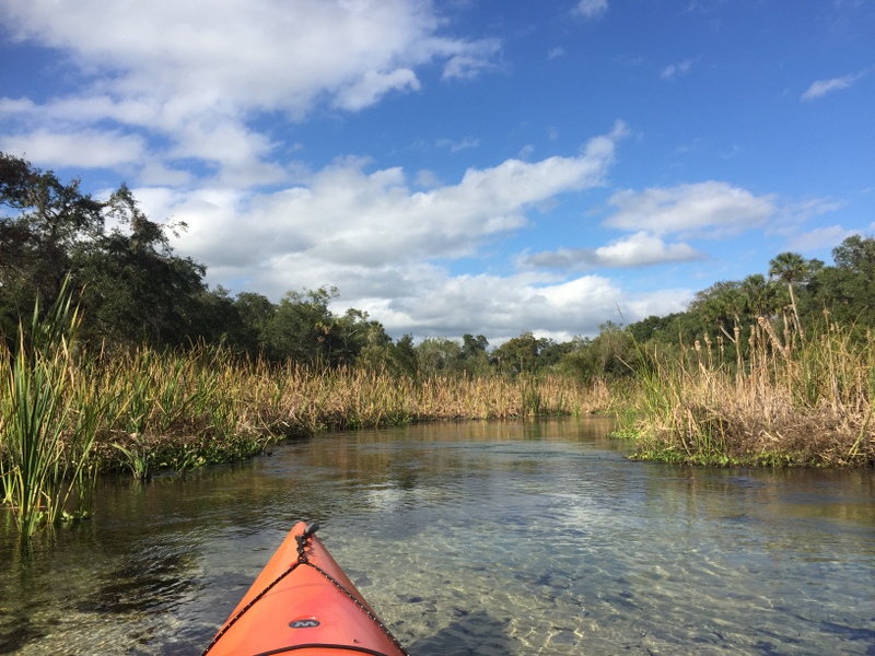 Juniper Springs River Run 