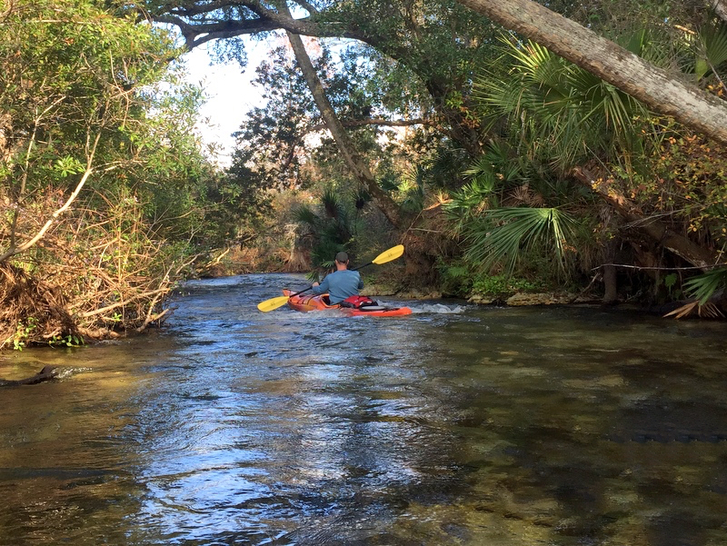 Juniper Springs River Run