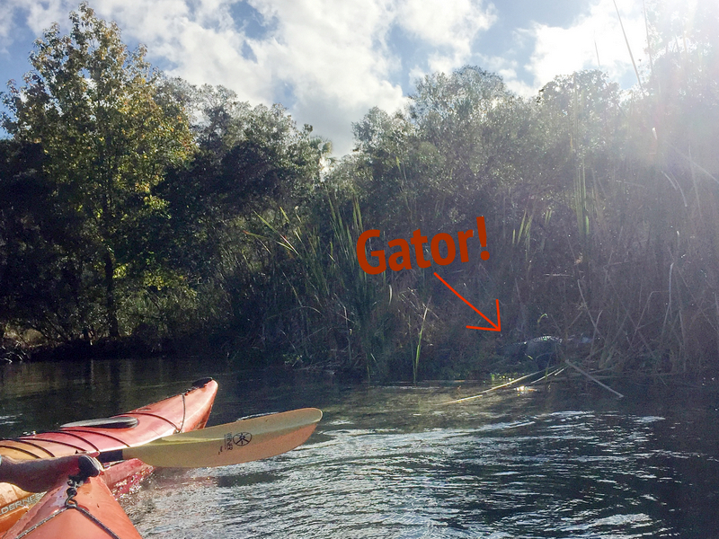 Juniper Springs River Run