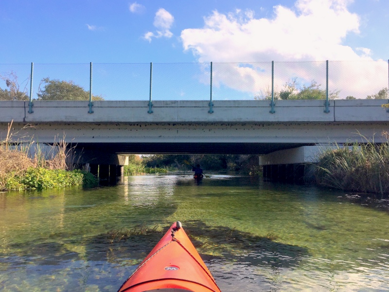 Juniper Springs River Run