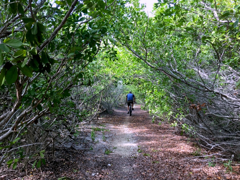 Biking in the Florida Keys