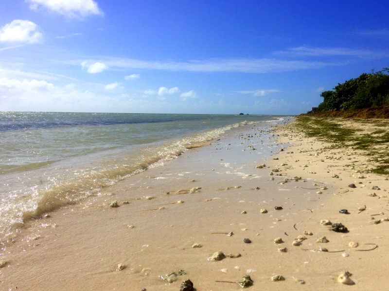 Bahia Honda State Park Beach