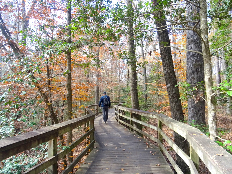 Congaree National Park