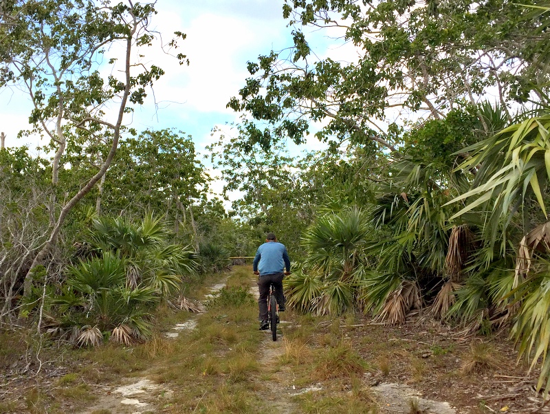 Big Pine Key