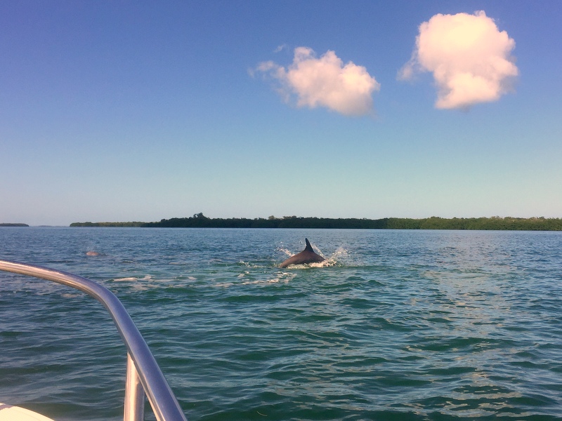 Florida Keys