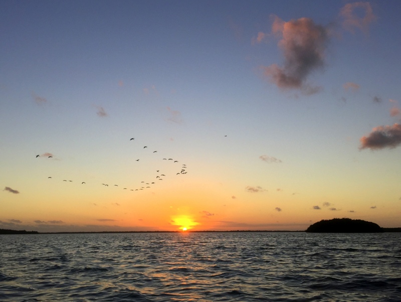 Kayaking Florida Keys