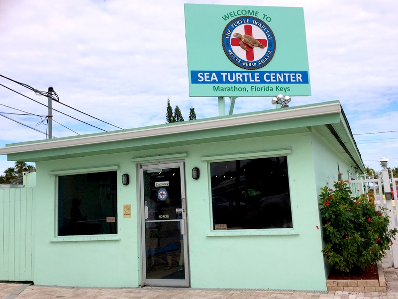 Turtle Hospital, Marathon FL