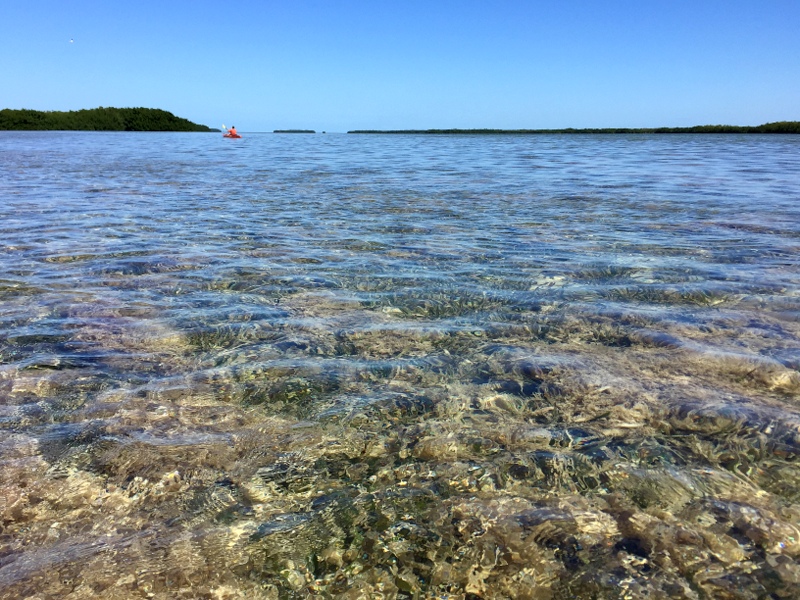 Kayaking the Florida Keys