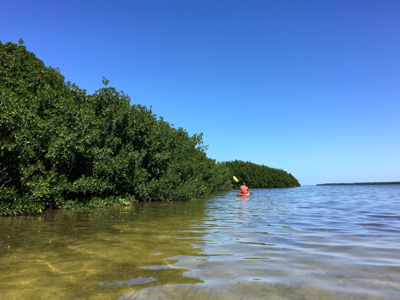 Paddling near Howe Key