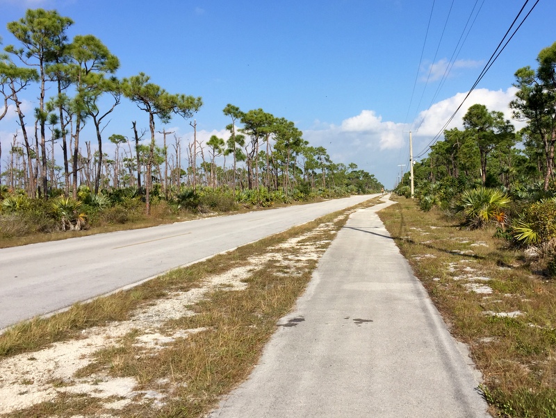 Big Pine Key, FL