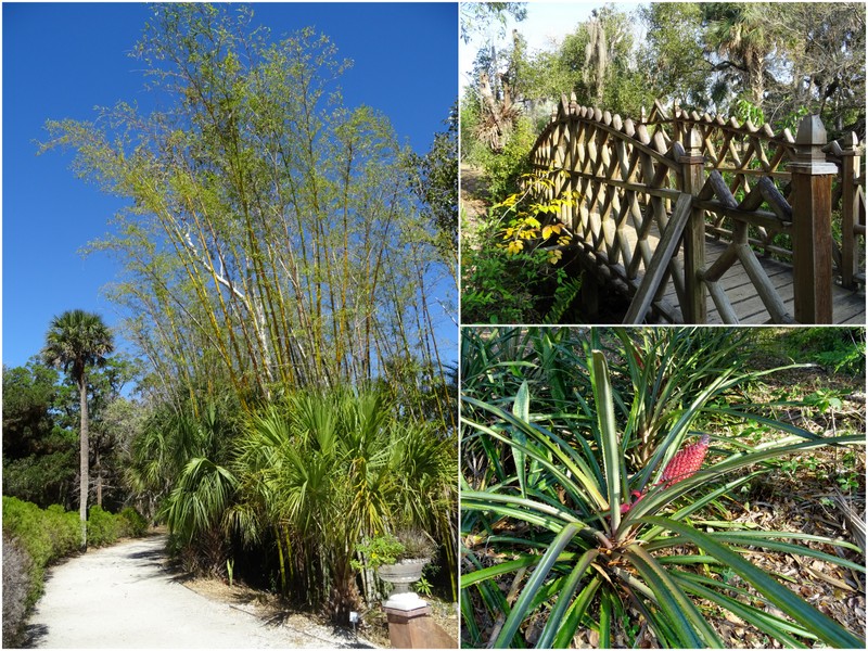 Koreshan State Park