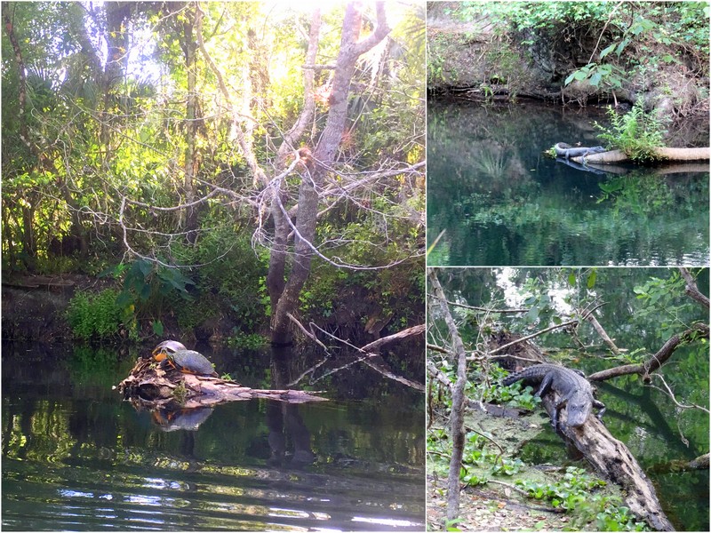 Hillsborough River State Park