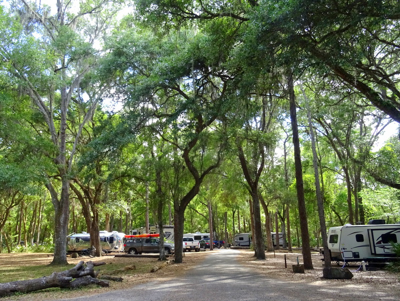 Hillsborough River State Park