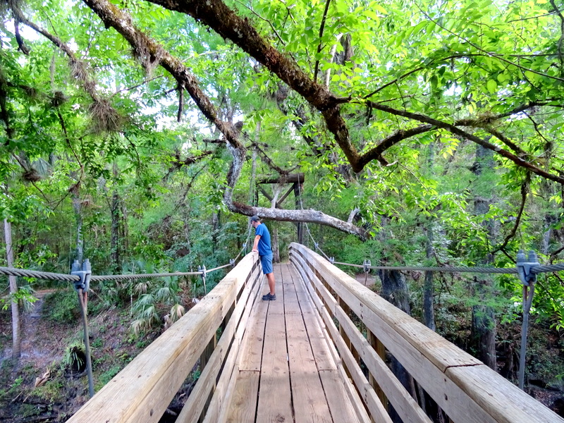 Hillsborough River State Park, Florida